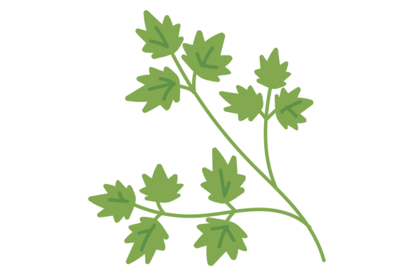 Download Parsley Icon. Green Cooking Ingredient. - Premium Resources