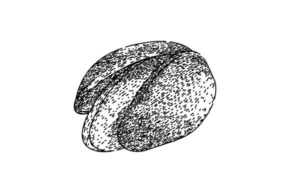 Download Ingredient Pistachio Nut Sketch Hand Dra - Premium Bundle