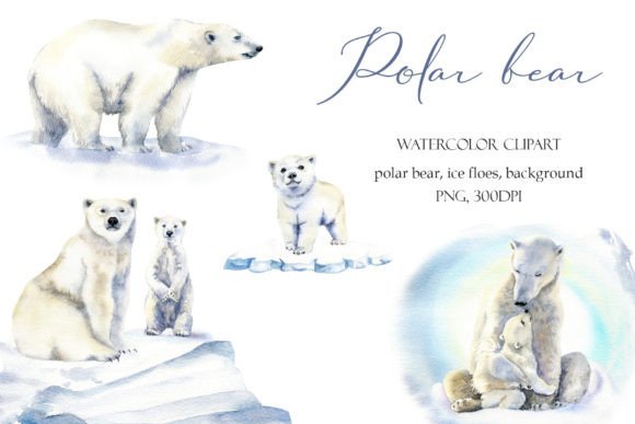 Download Watercolor Polar Bear Clipart Baby Png - Polar bear clipart Collection